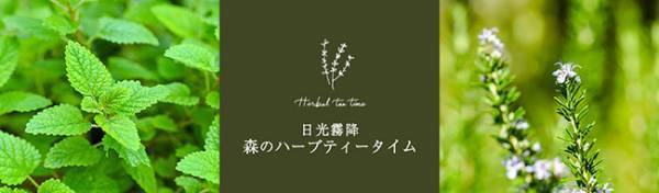 日光国立公園内、標高1,000メートルの避暑地 【大江戸温泉物語 日光霧降】自分で摘んだフレッシュハーブで入れるお茶を楽しむネイチャーアクティビティがスタート！