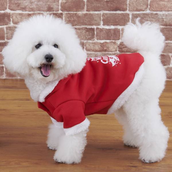 SNSで絶大な人気を誇るペットグッズ「爪とぎ」シリーズ数量限定の新作『クリスマスハウス』が登場！オンラインストア先行10％オフで本日発売！