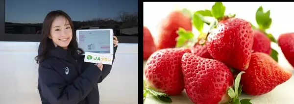「ＪＡタウン」公式アンバサダー石川佳純選手 今月のおすすめ商品は福岡県産「博多あまおう」と愛媛県産「せとか」！