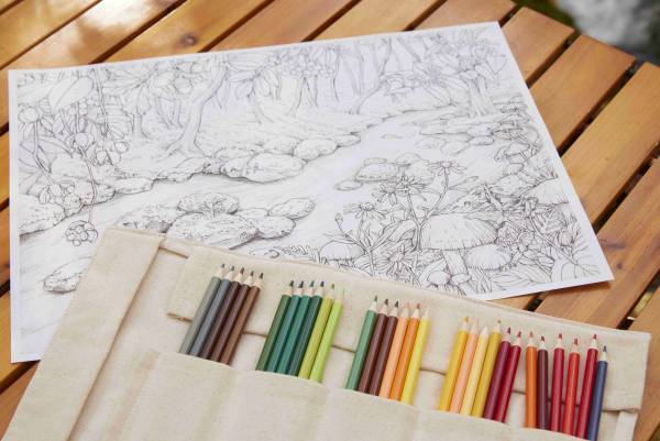 【奥入瀬渓流ホテル】静かな早朝の奥入瀬渓流で、紅葉が一番色鮮やかなスポットで塗り絵を楽しむアクティビティ「渓流紅葉塗り絵」が新登場｜提供期間：2022年10月15日～11月6日