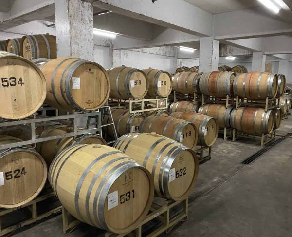 【界 松本】「信州ワインのパイオニア園で醸造家の世界観を知る収穫・試飲体験」開催 ～職人、生産者と行うご当地文化体験「手業(てわざ)のひととき」・秋～｜期間：2022年9月1日～10月10日