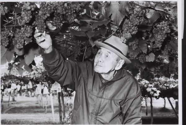 【界 松本】「信州ワインのパイオニア園で醸造家の世界観を知る収穫・試飲体験」開催 ～職人、生産者と行うご当地文化体験「手業(てわざ)のひととき」・秋～｜期間：2022年9月1日～10月10日