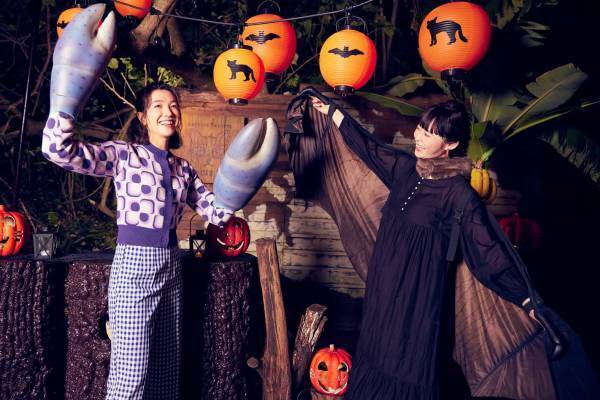 【西表島ホテル】夜行性の生き物をテーマにした「イリオモテ夜の生き物ハロウィン」開催｜期間：2022年10月1日～31日