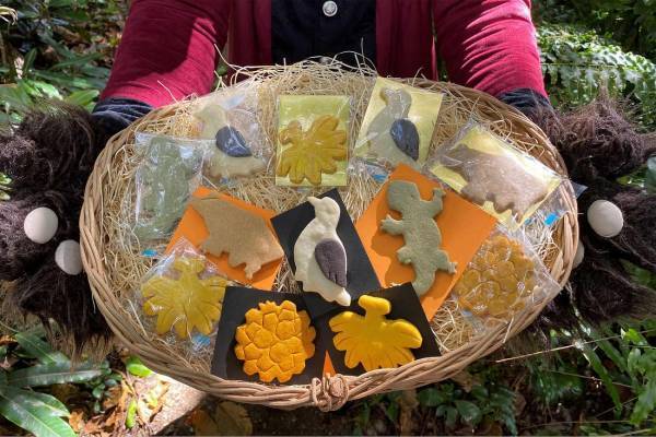 【西表島ホテル】夜行性の生き物をテーマにした「イリオモテ夜の生き物ハロウィン」開催｜期間：2022年10月1日～31日