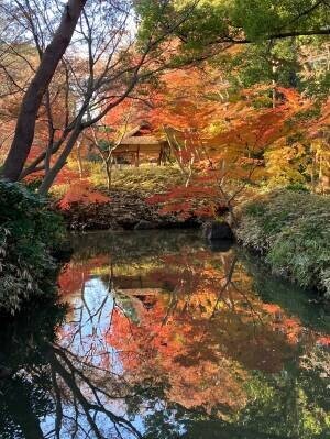 【11月11日更新】10月中旬～東京の紅葉シーズン到来！都内の由緒正しい絶景9庭園を巡る「紅葉めぐりスタンプラリー」を開催
