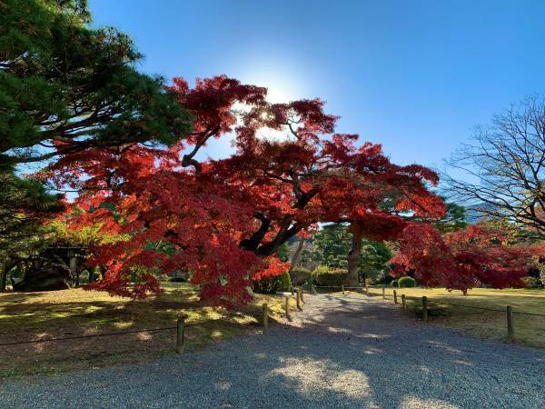 【11月11日更新】10月中旬～東京の紅葉シーズン到来！都内の由緒正しい絶景9庭園を巡る「紅葉めぐりスタンプラリー」を開催