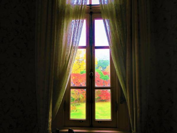 【11月11日更新】10月中旬～東京の紅葉シーズン到来！都内の由緒正しい絶景9庭園を巡る「紅葉めぐりスタンプラリー」を開催