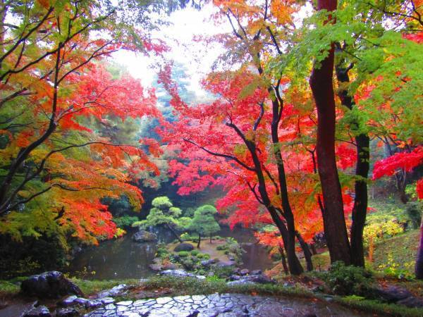 【11月11日更新】10月中旬～東京の紅葉シーズン到来！都内の由緒正しい絶景9庭園を巡る「紅葉めぐりスタンプラリー」を開催
