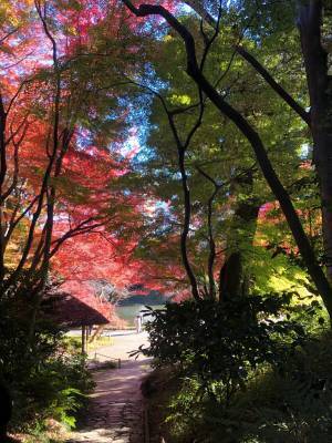 【11月11日更新】10月中旬～東京の紅葉シーズン到来！都内の由緒正しい絶景9庭園を巡る「紅葉めぐりスタンプラリー」を開催