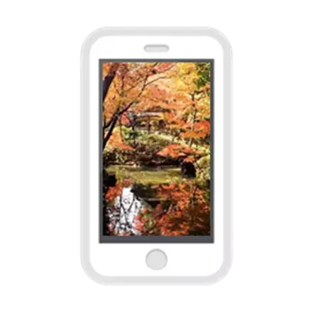 【11月11日更新】10月中旬～東京の紅葉シーズン到来！都内の由緒正しい絶景9庭園を巡る「紅葉めぐりスタンプラリー」を開催