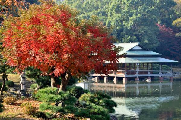 【11月11日更新】10月中旬～東京の紅葉シーズン到来！都内の由緒正しい絶景9庭園を巡る「紅葉めぐりスタンプラリー」を開催