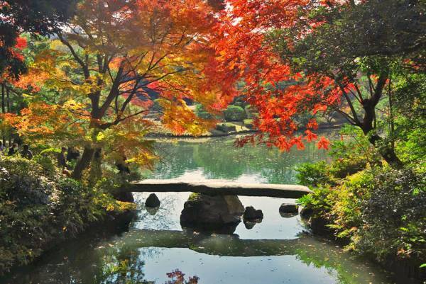 【11月11日更新】10月中旬～東京の紅葉シーズン到来！都内の由緒正しい絶景9庭園を巡る「紅葉めぐりスタンプラリー」を開催