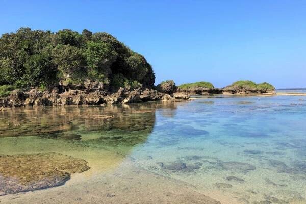 【西表島ホテル】西表島の穴場ビーチを満喫する「イリオモテ海水浴」開催｜期間：2022年7月1日～8月31日