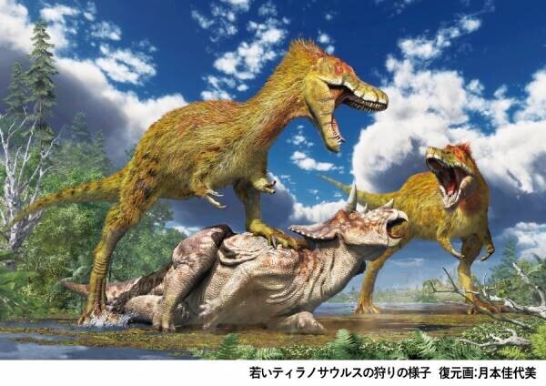 企画展「ティラノサウルス展 ～T.rex 驚異の肉食恐竜～」を開催