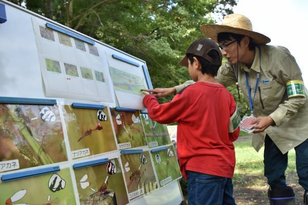 小峰公園で赤トンボをさがそう！10月15日（土）開催
