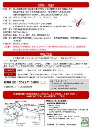 小峰公園で赤トンボをさがそう！10月15日（土）開催