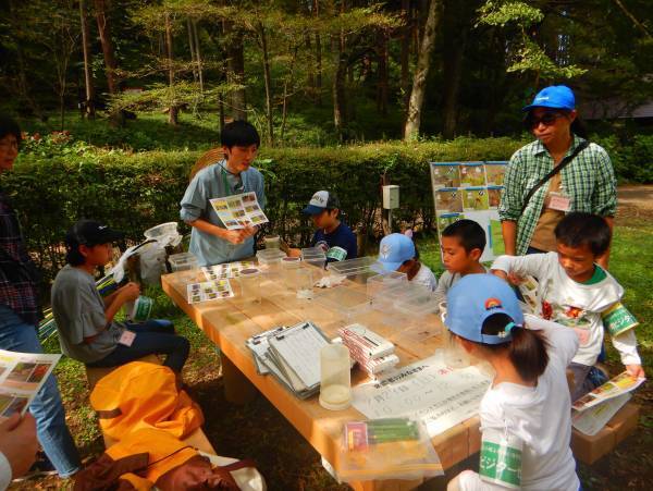 小峰公園で赤トンボをさがそう！10月15日（土）開催