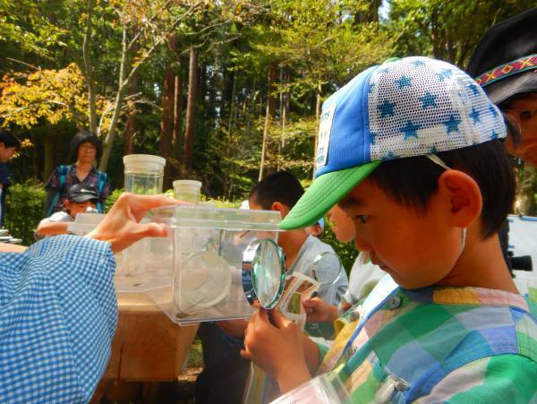 小峰公園で赤トンボをさがそう！10月15日（土）開催