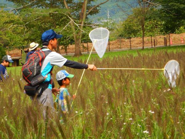 小峰公園で赤トンボをさがそう！10月15日（土）開催
