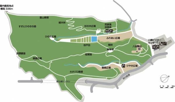 小峰公園で赤トンボをさがそう！10月15日（土）開催