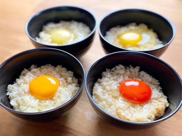 栃木初！幻の卵屋さん直営店が福田屋百貨店インターパークに出現します！