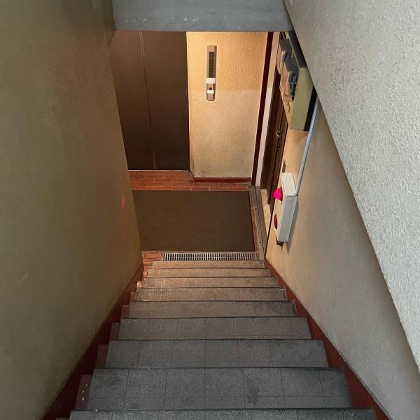 【博多式シーシャ】シーシャカフェHAFが恵比寿にオープン！【初心者も安心】