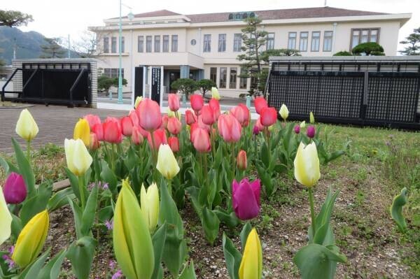 グンゼ博物苑、春のバラまつりに合わせ花壇を一新！ －あやべグンゼスクエア「春のバラまつり」5月14日から開催－