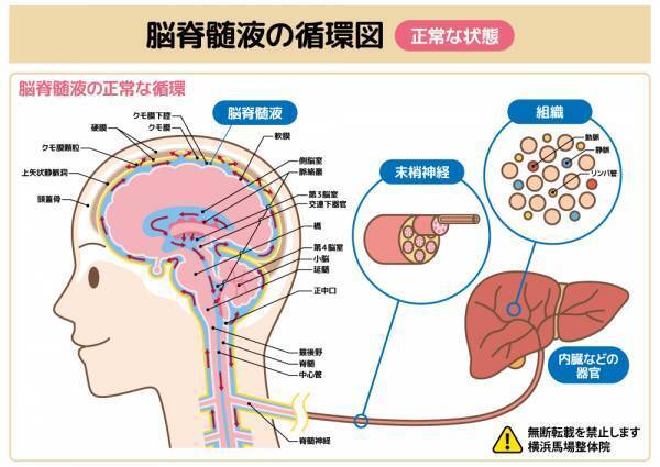 JR横浜駅から徒歩4分の横浜市神奈川区にある『横浜 馬場整体院』妊活、アトピー、自律神経が原因の不調（起立性調節障害他）などのお悩みの方におすすめ！精神的な問題はCKワープも受けられます。情報をFindビューティで公開