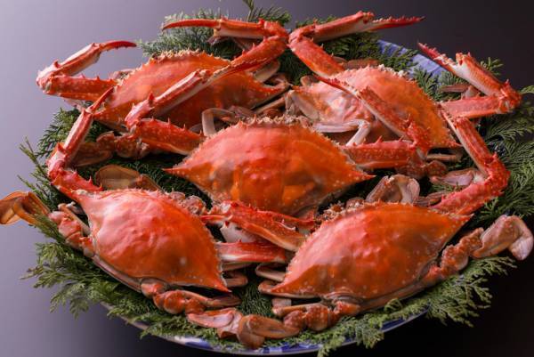 太良町の旅館に直接予約で宿泊割引！「太良チョク宿泊キャンペーン」を実施します！