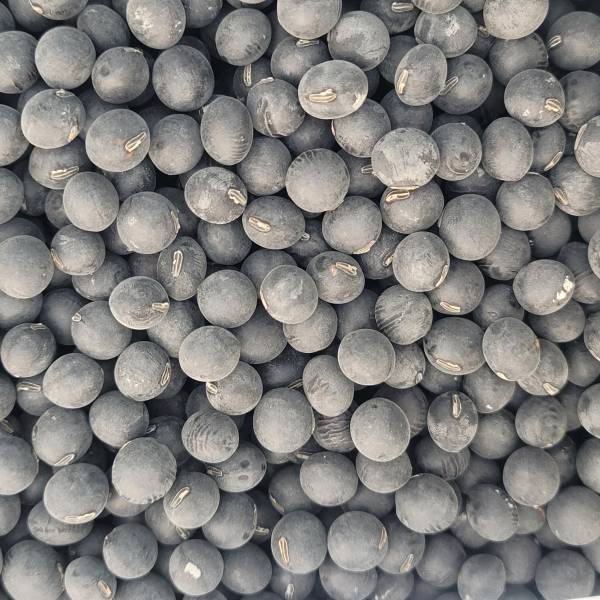 自然栽培大豆100％で作る、添加物など一切不使用の発酵食品