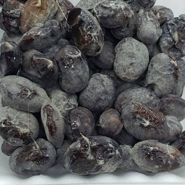 自然栽培大豆100％で作る、添加物など一切不使用の発酵食品