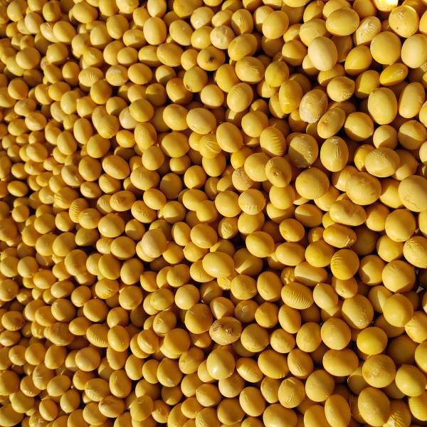 自然栽培大豆100％で作る、添加物など一切不使用の発酵食品