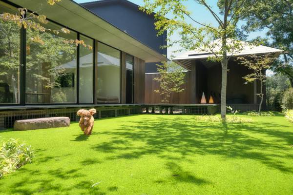 【界×スターフライヤー】「飛行機内も宿泊も愛犬と一緒に過ごす温泉旅プラン」販売開始｜期間：2022年10月30日～2023年3月24日