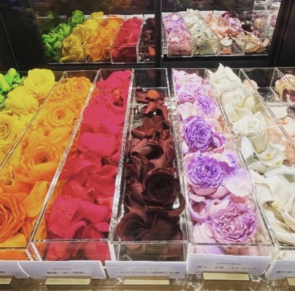 銀座　re:ROSE GINZA7 にて「ROOTS」アーティストコラボイベント 初開催!!!