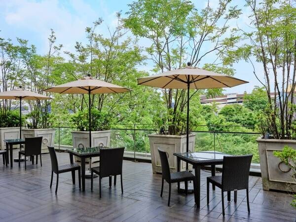 大宮のカフェ＆レストランに「ガーデンテラス」NEW OPEN！季節を感じる庭園を眺めながら、埼玉野菜を使った料理をご堪能