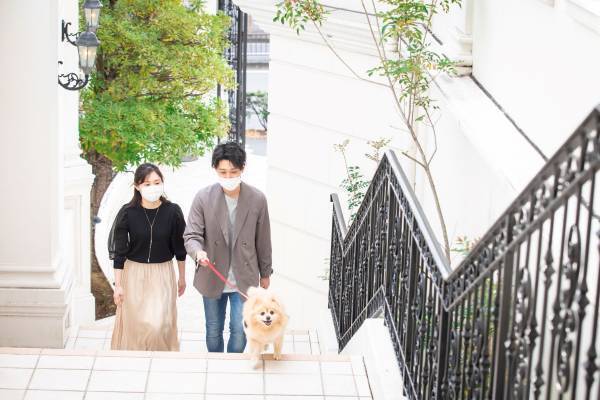 推し活におすすめ！レッド・ブルー・グリーン・イエロー・パープルから選べる、乙女心をくすぐる5色のアフタヌーンティー！  『プリンセス ティアラ アフタヌーンティー』期間限定販売