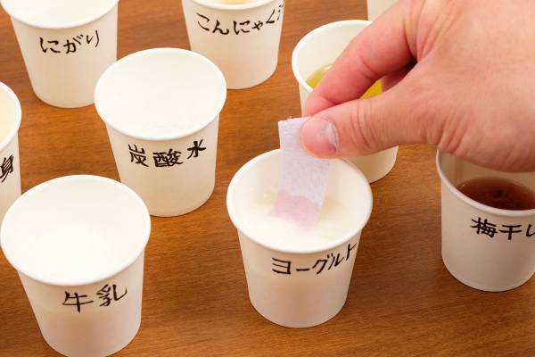 小・中学生向け教育ポータルサイト『学研キッズネット』で森永乳業とコラボした「ヨーグルトで自由研究」特集がオープン！