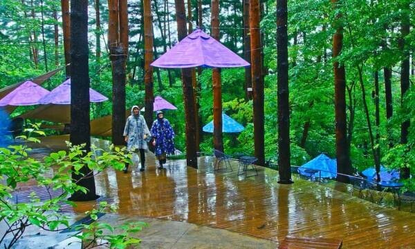 【星のや富士】梅雨の森を五感で楽しむ「雨グランピング」開催　雨音を聞きながらスイーツやディナー、BARを満喫｜期間：2022年6月10日～7月20日