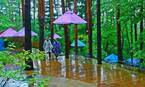 【星のや富士】梅雨の森を五感で楽しむ「雨グランピング」開催　雨音を聞きながらスイーツやディナー、BARを満喫｜期間：2022年6月10日～7月20日