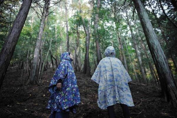 【星のや富士】梅雨の森を五感で楽しむ「雨グランピング」開催　雨音を聞きながらスイーツやディナー、BARを満喫｜期間：2022年6月10日～7月20日