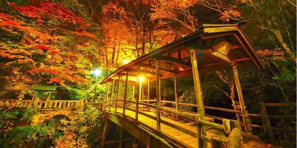 紅葉と食欲の秋を満喫する長野県の宿。大江戸温泉物語【ホテル木曽路】（南木曽町）と【鹿教湯】（上田市）で9月1日、秋のまんぞくバイキングスタート！