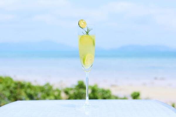 【リゾナーレ小浜島】ガジュマルツリーテラスで、コバルトブルーの海を見ながらお酒を楽しめる「海風アペロ」開催｜期間：2022年9月1日～30日