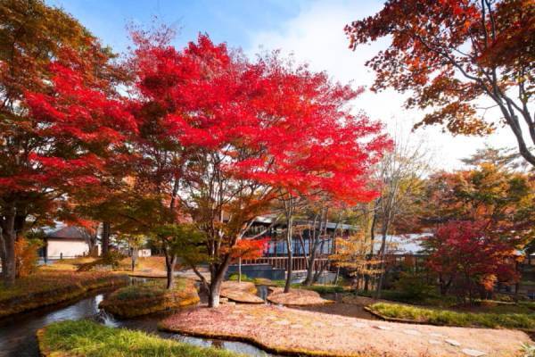 【星のや軽井沢】1日1組限定！特等席で松茸などの秋の味覚を堪能する「紅葉松茸アペリティフ」開催｜期間：2022年10月1日～31日