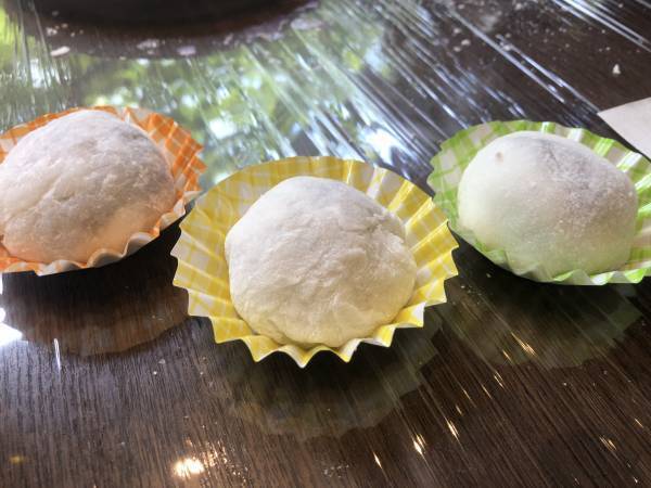 【期間限定】「フルーツライド~岡垣みかん編~」予約開始します！｜ 期間:11月5日～11月28日