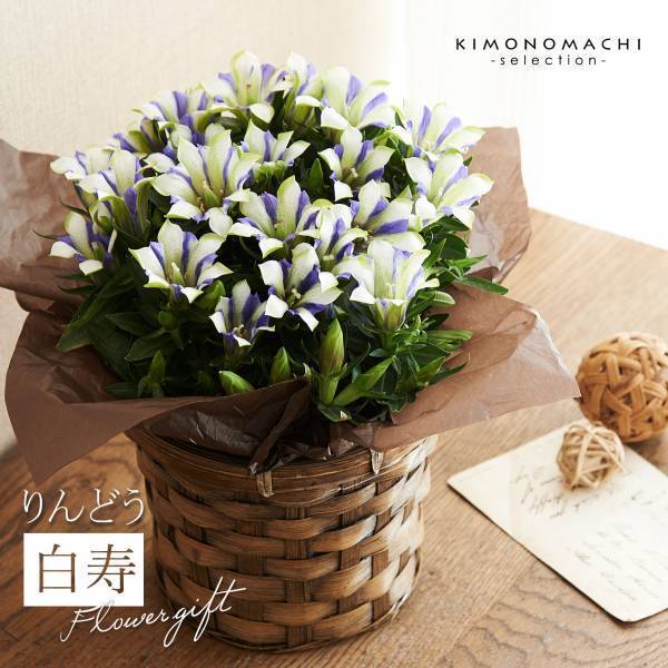 敬老の日ギフトにおすすめ。和装通販京都きもの町が期間限定でフラワーギフトを販売開始。