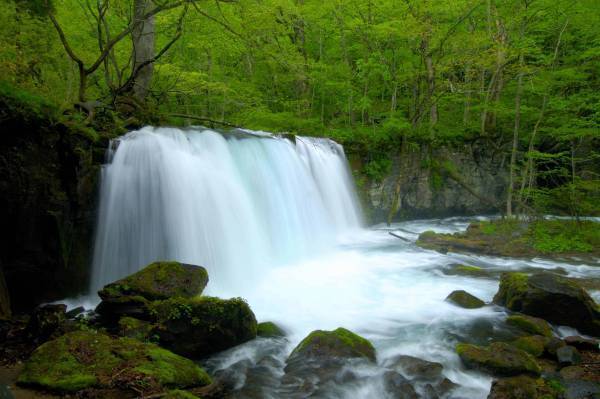 【奥入瀬渓流ホテル】1日1組限定「ワンランク上の奥入瀬おとな旅ステイ」登場　眼下に渓流を臨む、露天風呂とテラス付きの客室｜期間：2022年5月9日～6月30日
