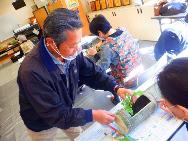 12月25日（日）小山内裏公園【春の七草寄せ植え教室 ～春の七草を楽しむ～】