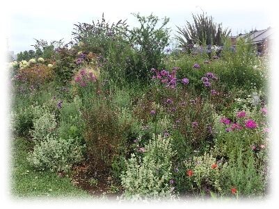 ガーデンデザインコンテスト「 第1回 東京パークガーデンアワード＠代々木公園 」開催のお知らせ