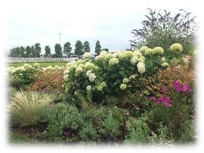 ガーデンデザインコンテスト「 第1回 東京パークガーデンアワード＠代々木公園 」開催のお知らせ