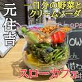 【 金魚鉢カフェ】「スローカフェ」が元住吉に8月8日オープン！